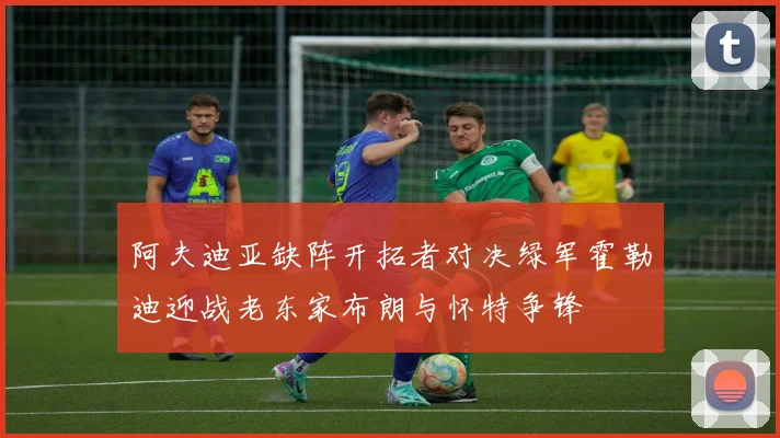 阿夫迪亚缺阵开拓者对决绿军霍勒迪迎战老东家布朗与怀特争锋
