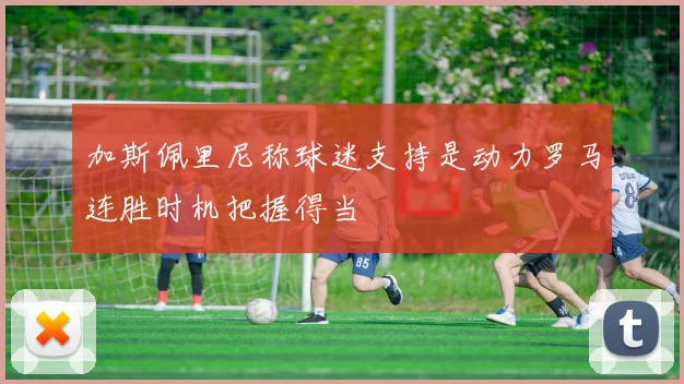 加斯佩里尼称球迷支持是动力罗马连胜时机把握得当